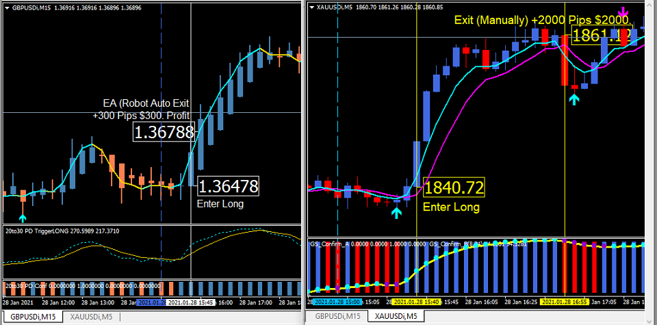 Forex Dynamic Duo | Day Trading GBP/USD and GOLD